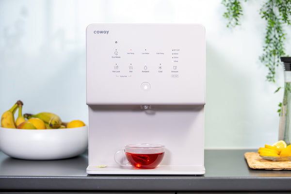 Coway Windy III reverse osmosis water filter hot water function Cyprus